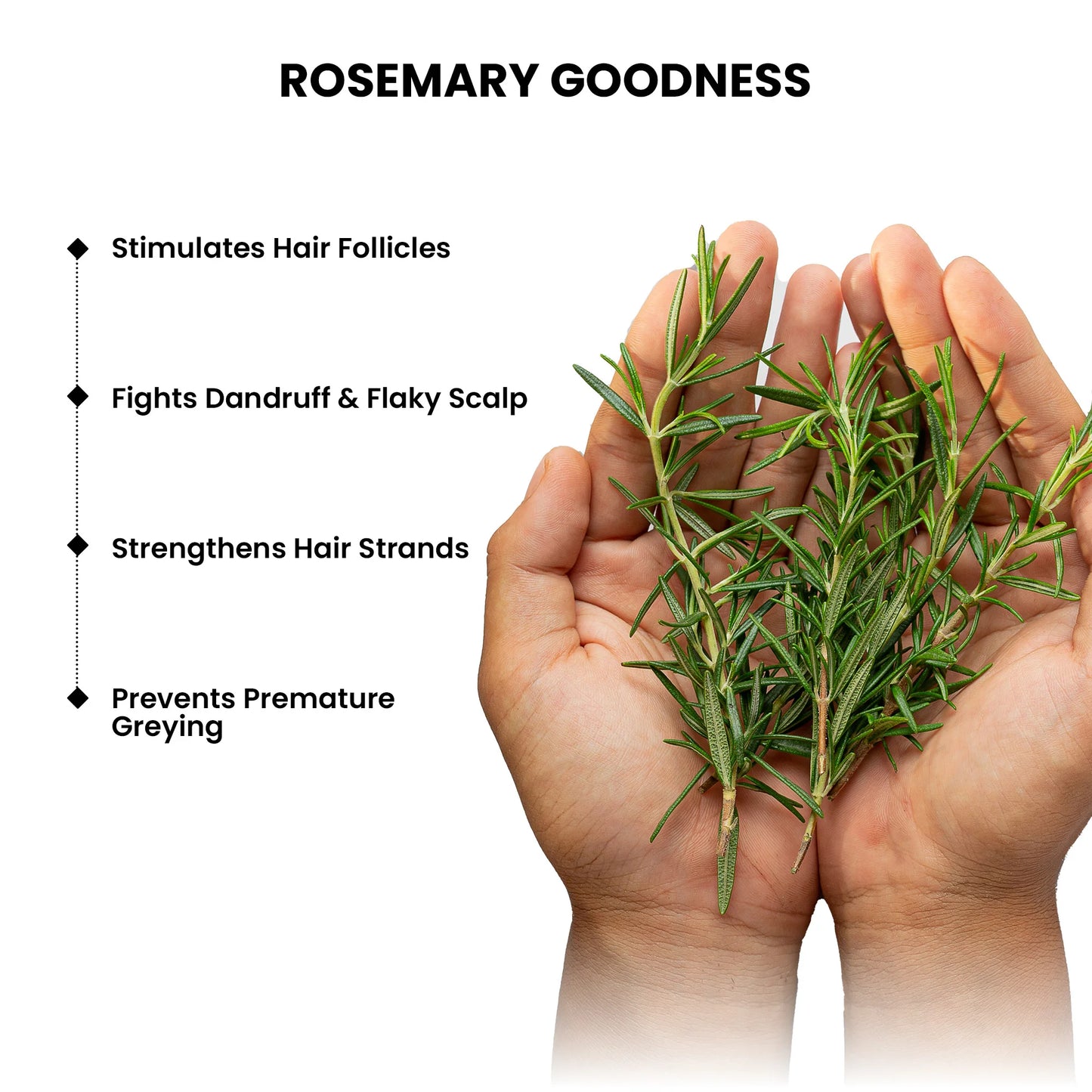 Rosemary Shampoo, 250ml