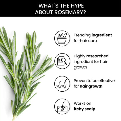 reasons why rosemary is the best ingredient for hair care